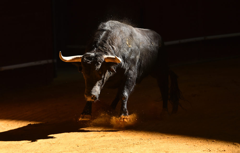 Bakkt Bitcoin Futures: Futter für die Bullen