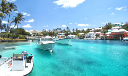 Regulierung als Chance: Circle geht nach Bermuda