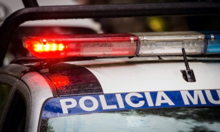 John McAfee wieder auf freiem Fuß