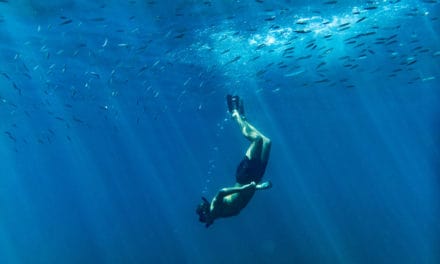 Bitcoin-Kurs unter 10.000 US-Dollar – Futures schuld?