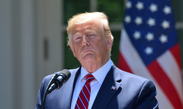 Donald Trump wird Kryptowährungen kaufen – Das Meinungs-ECHO