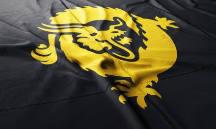 Bitcoin SV spaltet sich in drei Chains