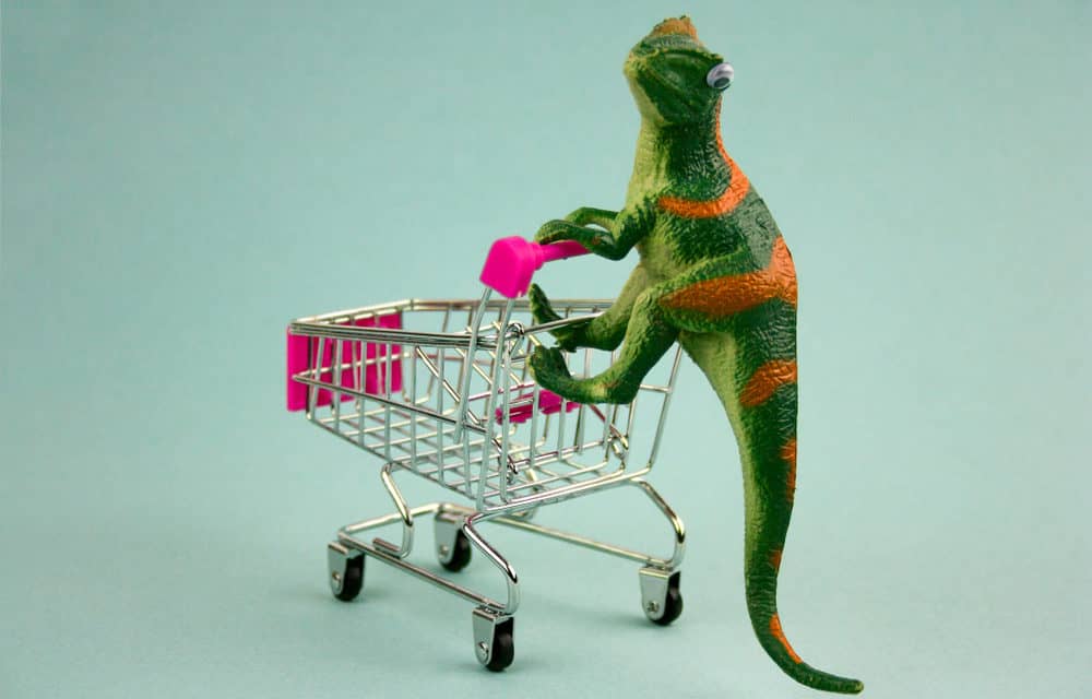 Bitcoin-Kurs unter 12k: Goldman Sachs Analystin rät zum Kauf