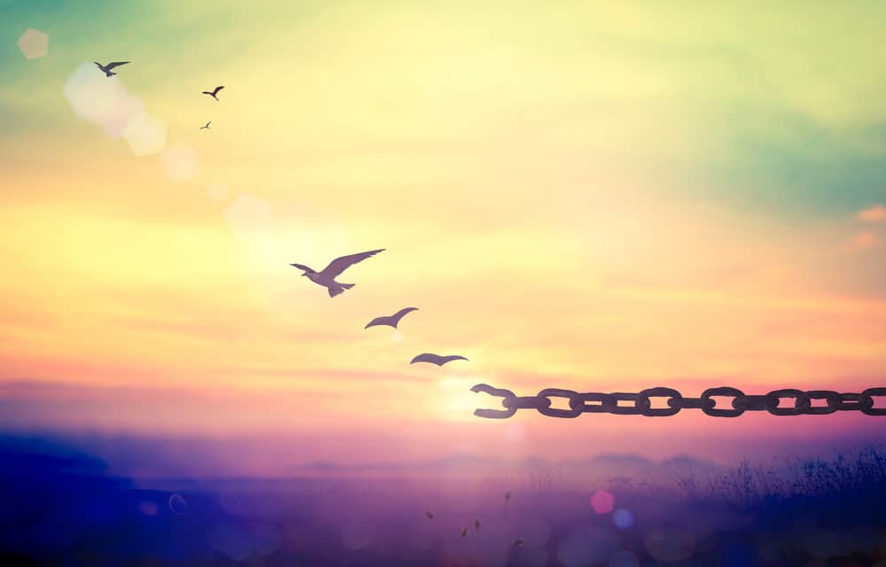 Ethfinex emanzipiert sich von Bitfinex – neuer Fokus auf DeFi