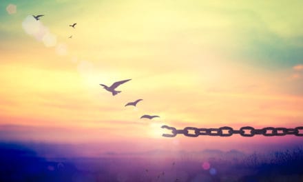 Ethfinex emanzipiert sich von Bitfinex – neuer Fokus auf DeFi