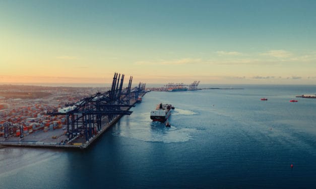 Bitcoin: Laut Studie sicherer Hafen für US-Millennials