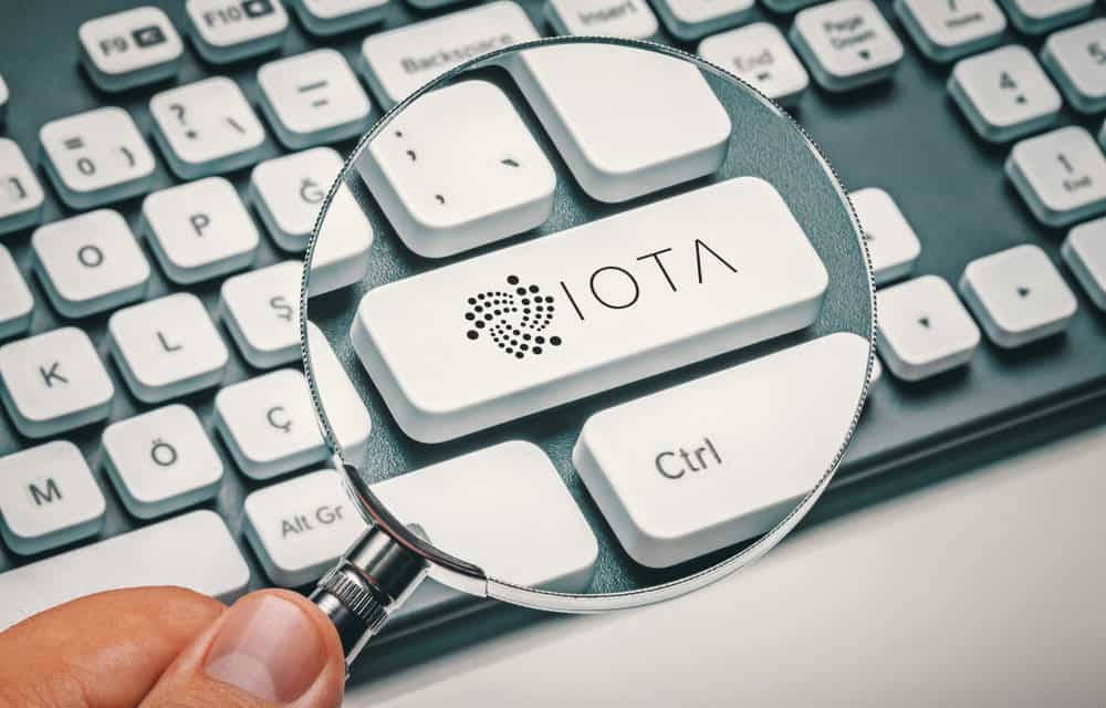 IOTA: „Chronicle“ soll das Tangle durchsuchbar machen