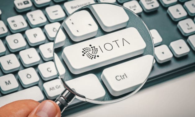 IOTA: „Chronicle“ soll das Tangle durchsuchbar machen