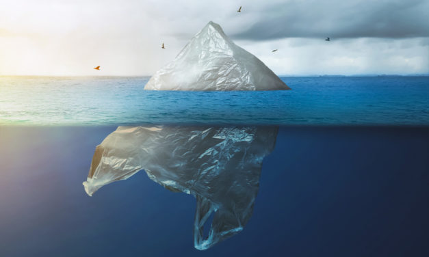 Blockchain für die Nachhaltigkeit: ConsenSys und WWF wollen mit Impactio die Welt retten