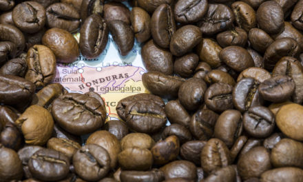 GrainChain: Blockchain-Firma zielt auf Kaffee-Markt in Honduras