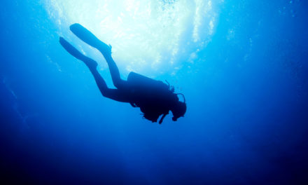 Bitcoin-Kurs auf Tauchgang: Kaufen oder laufen?