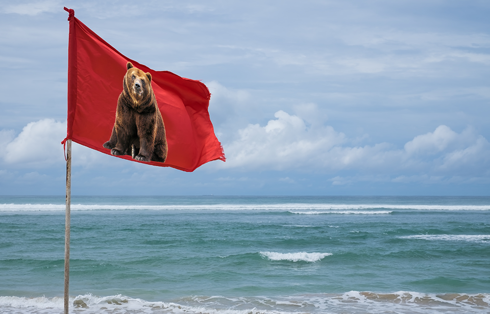 Bitcoin-Kurs- und Marktbetrachtung: Anzeichen für Bärenflagge gesichtet