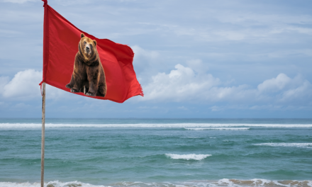 Bitcoin-Kurs- und Marktbetrachtung: Anzeichen für Bärenflagge gesichtet