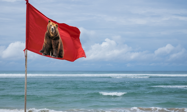 Bitcoin-Kurs- und Marktbetrachtung: Anzeichen für Bärenflagge gesichtet