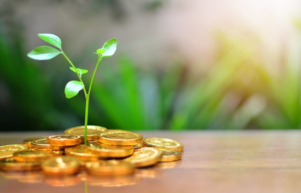 Krypto in der Schweiz: Sibex sammelt 1,78 Millionen CHF ein