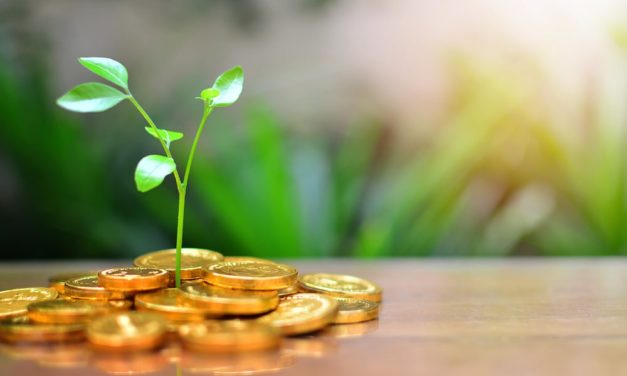 Krypto in der Schweiz: Sibex sammelt 1,78 Millionen CHF ein
