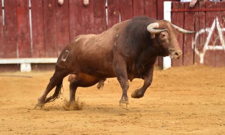 Bitcoin-Kurs steigt um 2.000 US-Dollar – Bullenrallye am Krypto-Markt