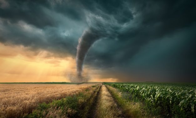 Nach der Ruhe kam der Sturm: Altcoin-Marktanalyse