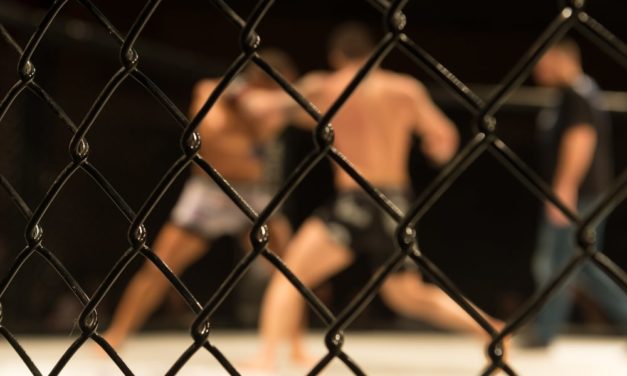 Prügeln im Reality-TV: Wieso die Blockchain nicht für jeden Anwendungsfall sinnvoll ist