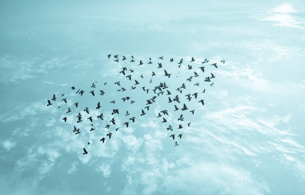 Binance: Eine Bitcoin-Börse breitet sich aus