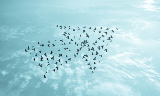 Binance: Eine Bitcoin-Börse breitet sich aus