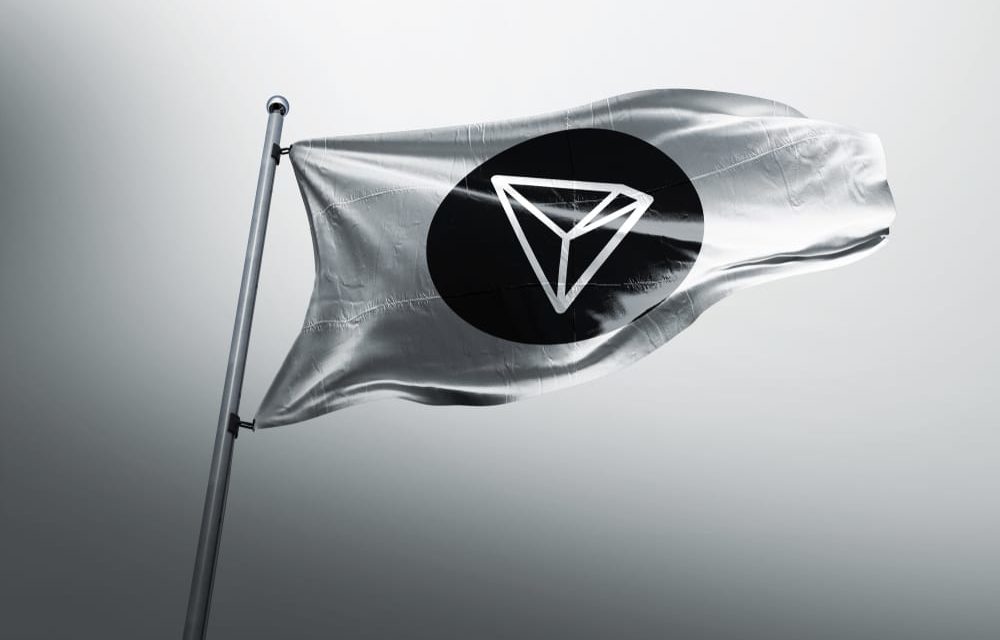 Pizza Heroes: Ein MMORPG für Tron