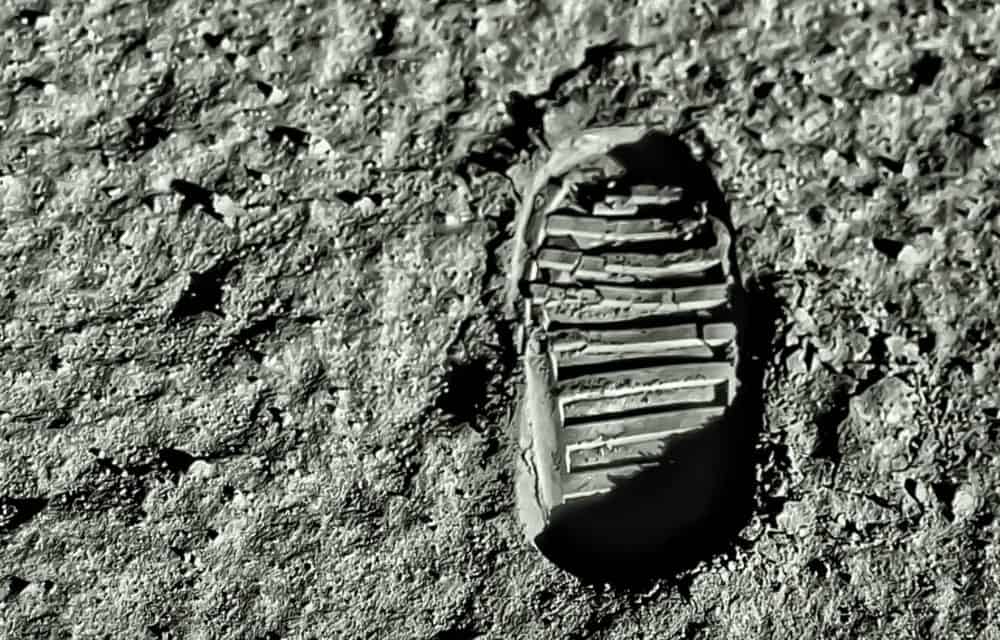 „Moon bis Ende des Jahres“ – lab10 collective (ARTIS) im Interview