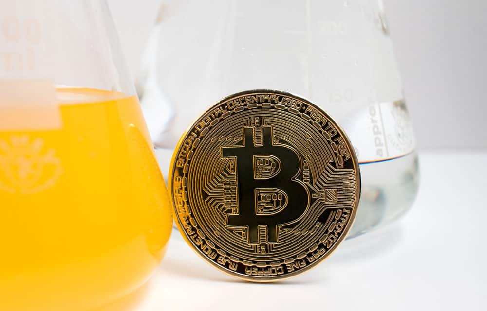 Bitcoin, das große Experiment – Das Meinungs-ECHO