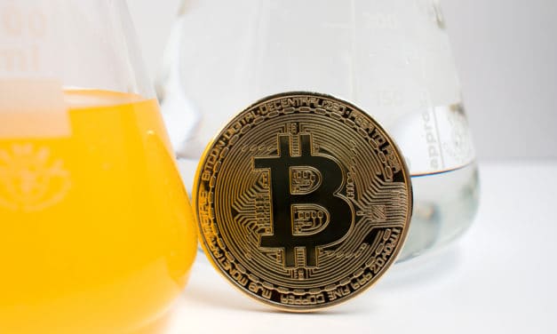 Bitcoin, das große Experiment – Das Meinungs-ECHO