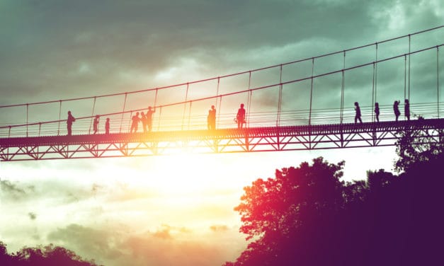 „Brücke des Vertrauens“: VeChain und Partner lancieren Blockchain-Plattform