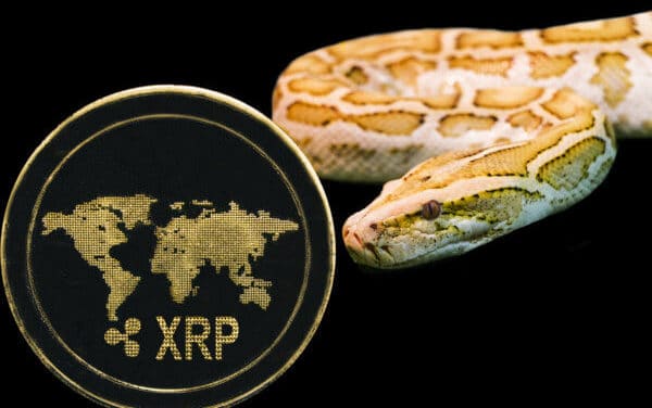 Aufwind oder Strohfeuer?: Ripple-Kurs (XRP) steigt – Trotz oder wegen MoneyGram?