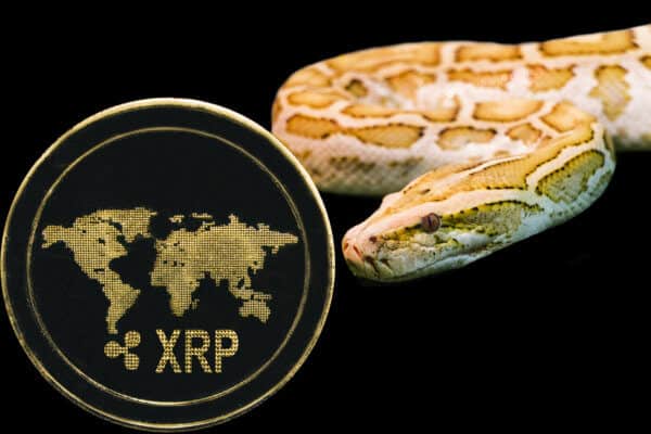 Aufwind oder Strohfeuer?: Ripple-Kurs (XRP) steigt – Trotz oder wegen MoneyGram?