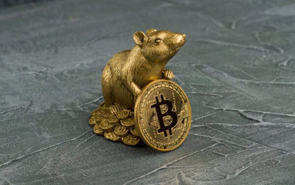 Bloomberg-Report: Steigende Nachfrage wird Bitcoin-Kurs 2020 beflügeln
