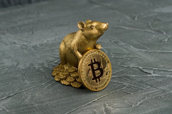 Bloomberg-Report: Steigende Nachfrage wird Bitcoin-Kurs 2020 beflügeln