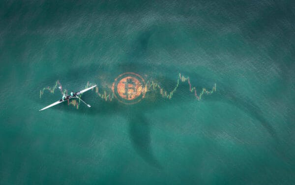 Bitcoin-Wal BitFinex: Skandal-Börse verschiebt BTC in Milliardenhöhe