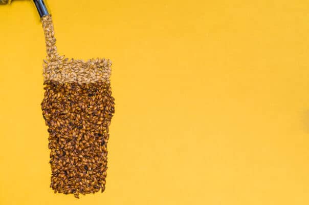 Supply Chain: Budweiser-Mutterkonzern unterstützt afrikanische Bauern per Blockchain