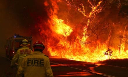 Krypto-Adaption: Mit Kryptowährungen Gutes tun: Spenden für Buschfeuer in Australien