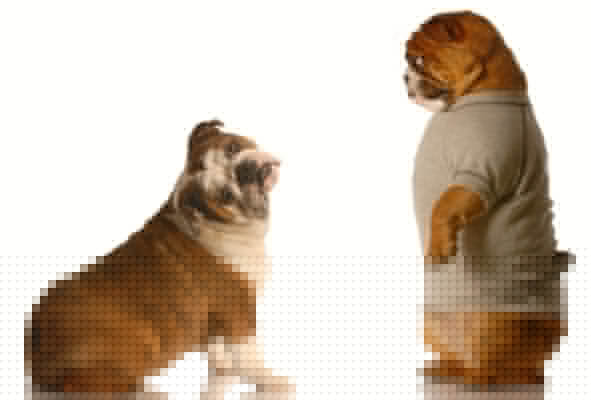 Gesamtmarktanalyse: Bitcoin & Co.: Kampf zwischen Bullen und Bären spitzt sich zu