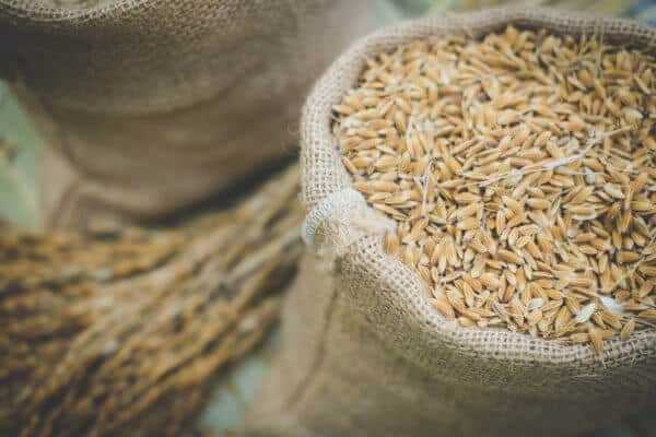 Supply Chain: Blockchain-Start-up sammelt 2,1 Millionen Euro ein
