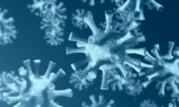 Meinungs-ECHO: Bitcoin Halving vs. Coronavirus