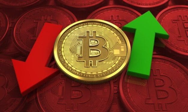 Krypto-Panik: Bitcoin-Kurs: Der Crash geht weiter – die Gründe