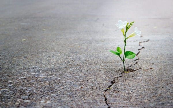 Nach dem Crash: Bitcoin-Kurs (BTC) am Boden: Und nun?