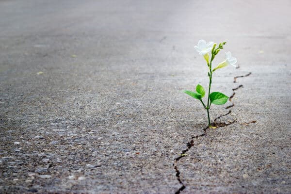 Nach dem Crash: Bitcoin-Kurs (BTC) am Boden: Und nun?
