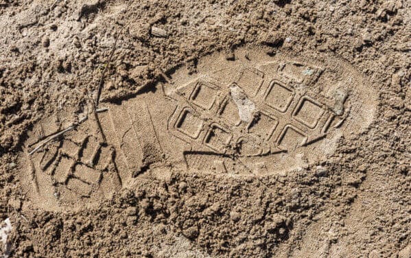 Corona auf der Spur: Public Health Blockchain trackt Virus