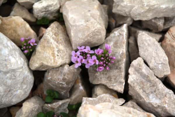 Gemeinsam Hoffnung schenken: Die Rolle von Bitcoin-Enthusiasten in der Corona-Krise