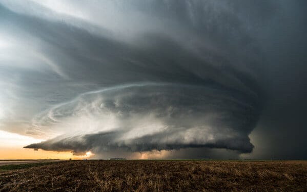 Nullzins VS Bitcoin Halving: Der perfekte Sturm: Bitcoin-Boom in Krisenzeiten?