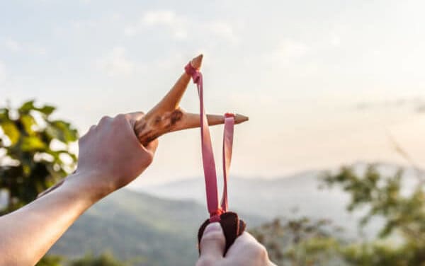 Meinungs-ECHO: Bitcoin entkoppelt: „Der ultimative Pump wird kommen“