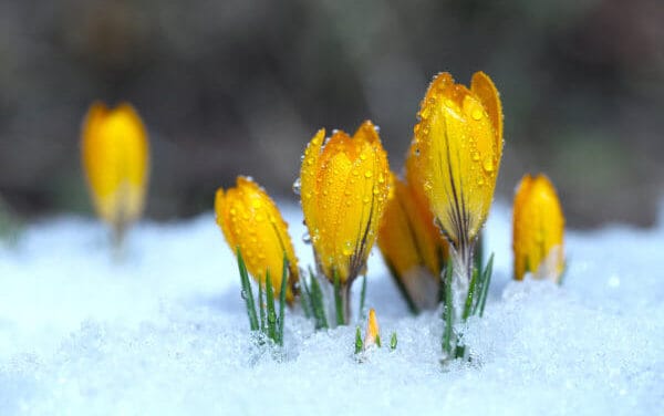 Korrelationen im Fokus: Bitcoin: Eiszeit oder der Beginn eines wunderbaren Frühlings?