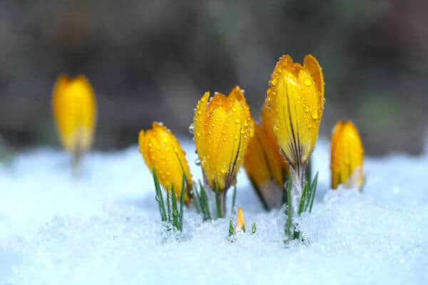 Korrelationen im Fokus: Bitcoin: Eiszeit oder der Beginn eines wunderbaren Frühlings?