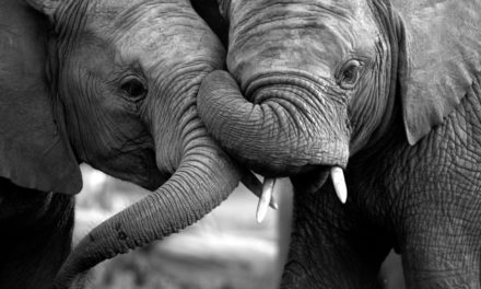 Binance will Coinmarketcap schlucken – für 400 Millionen US-Dollar